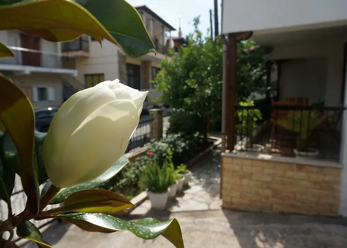 Magnolia