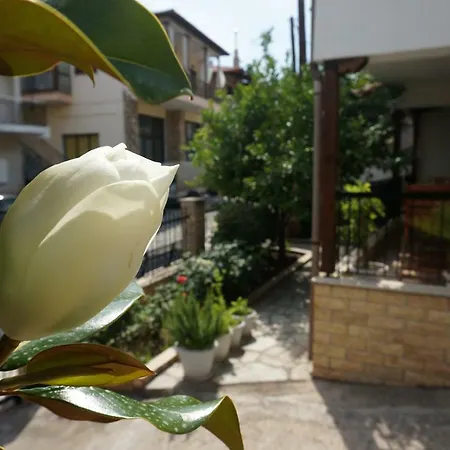 Apartamento Magnolia Agios Nikolaos  Exterior foto