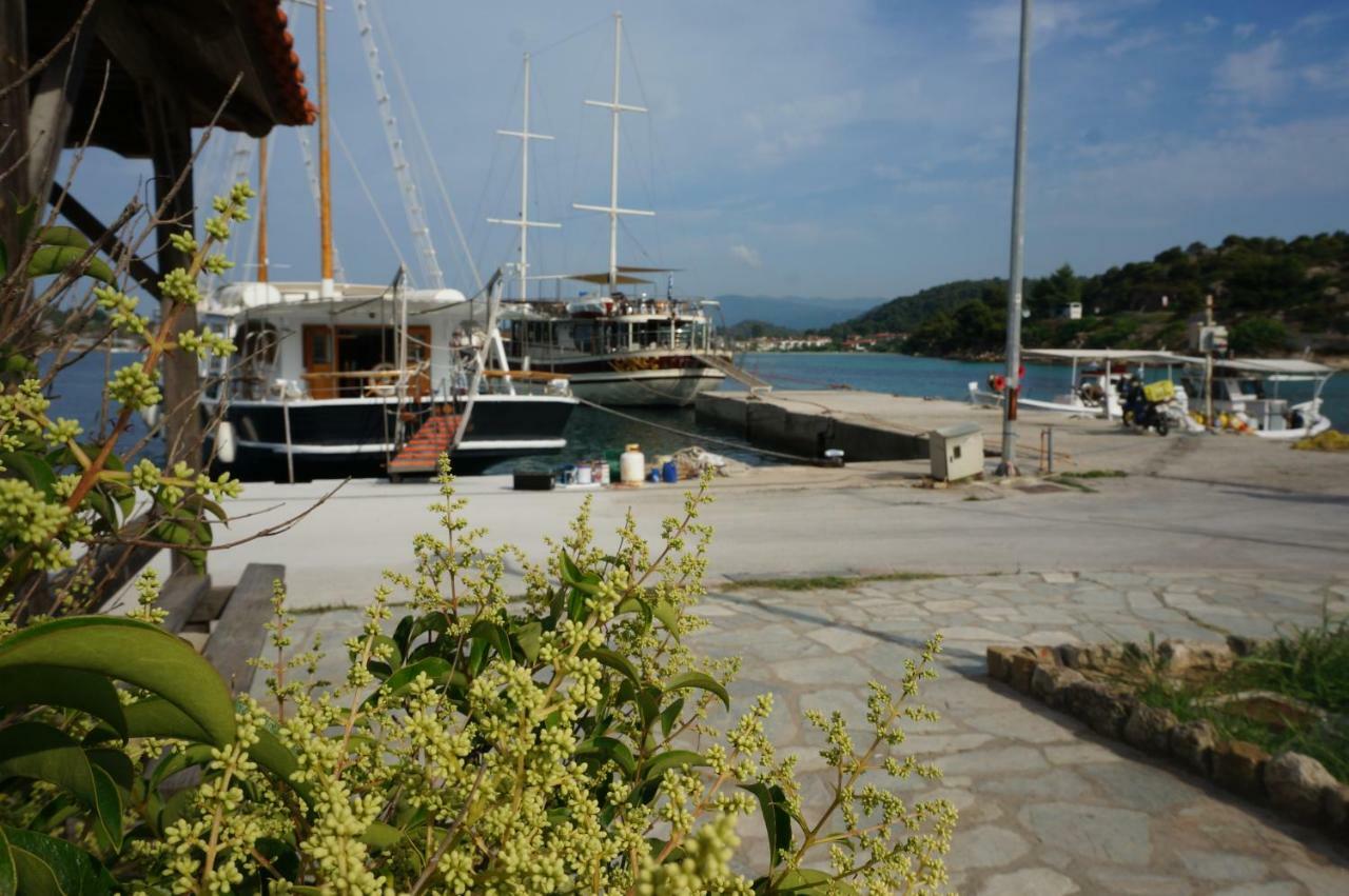 Apartament Magnolia