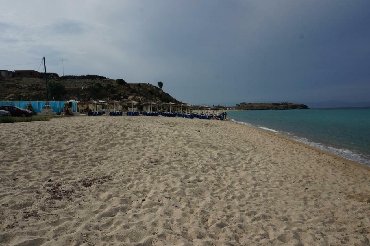 Apartament Magnolia *