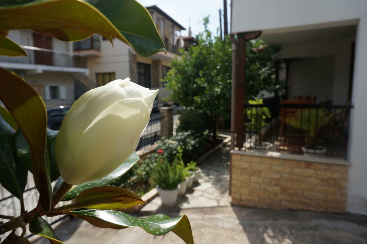Magnolia Agios Nikolaos (Chalkidiki)